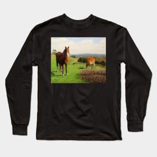 Sugar Loaf Horses Long Sleeve T-Shirt